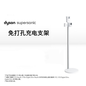 Dyson戴森原装充电支架V12V10吸尘器适用立式铝制免打孔支架