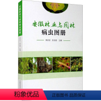 [正版]安徽林业与园林病虫图册 中国科学技术大学出版社 束庆龙,张龙娃 编 生命科学/生物学