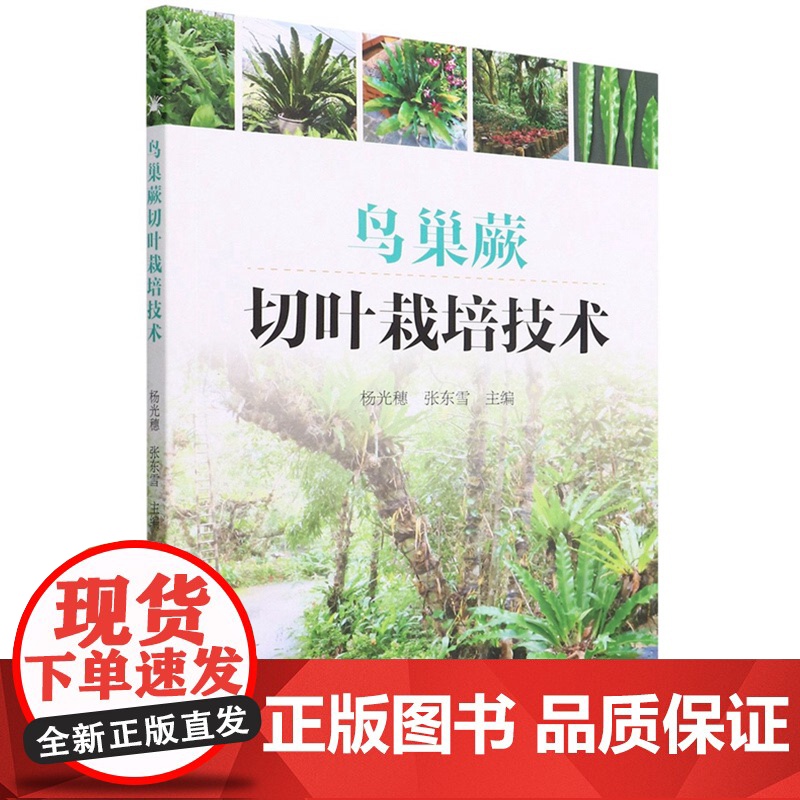 鸟巢蕨切叶栽培技术 1599 杨光穗//张东雪 中国林业出版社
