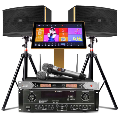 山水(SANSUI) SP2-10套装家庭影院家用客厅会议室专业组合音箱电视KTV音响拓浦发3T点歌机K歌