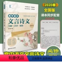 [正版]高中语文文言诗文全解详译精练必修下册高中古诗文文言文全解全析高一二三高考文言文一本全