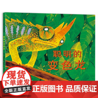 聪明的变色龙