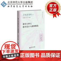 数学大单元教学设计与课例精选 9787303303038 綦春霞 丁明怡 编著 读懂新课程丛书 北京师范大