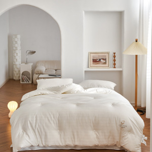 高档A类母婴级单夏被芯全棉春秋被纯棉花被冬被芯床品