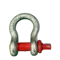 飞享 卸扣 FX-DLQ-01 个