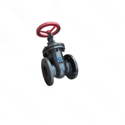 祝鑫 阀门80 ZX-01 个