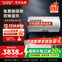 AO史密斯100升电热水器金圭内胆免更换镁棒E100MDG