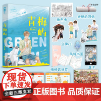 青梅屿+番外 回南雀著全1册完结 青春温暖现代都市双男主纯爱小说实体书BB-45.8正版大鱼原耽图书