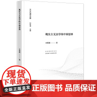 正版 现实主义法学的中国思辨 王绍喜 著 法律出版社