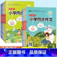 同步作文 三年级上 [正版]小学生同步作文三年级四年级五年级六年级上册下册向上语文作文专项训练作文写作技巧与指导思维导图