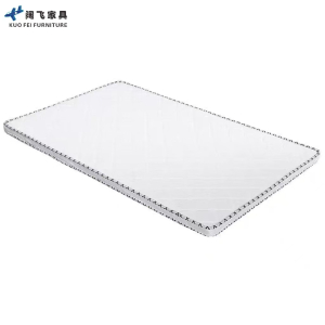 阔飞 棕垫 1200*2000 张