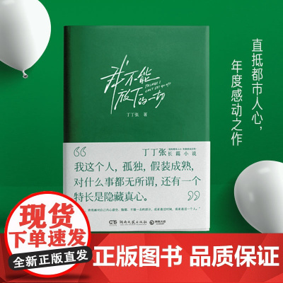 我不能放下的一切 丁丁张阔别四年长篇小说,直抵都市人心,年度感动之作 现代文学随笔散文小说书正版书籍榜