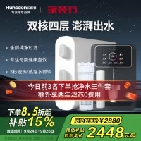 汉斯顿/Hunsdon家用0阻垢剂添加净水器管线机套装厨下式净饮机RO反渗透净水机过滤器母婴直饮厨房纯水机D3