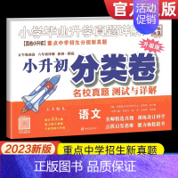 小升初分类卷[语文] 小学升初中 [正版]2023小升初真题分类卷小学毕业升学考试真题详解语文数学英语五六年级重点中学招