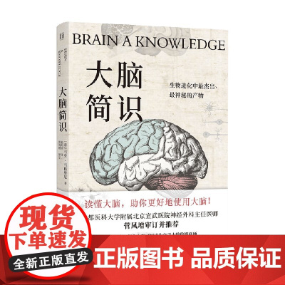 大脑简识 马克·马格里尼 著 科普读物