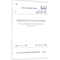 [M]道路深层病害非开挖处治技术规程-1511230030