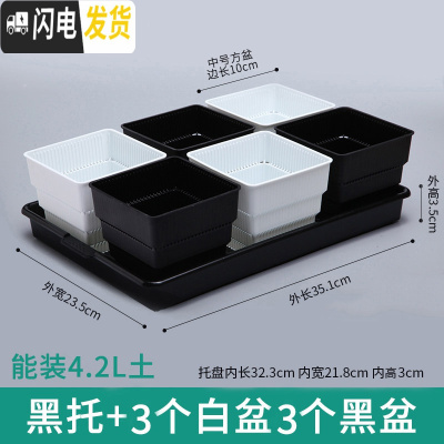 三维工匠美莳控根多肉花盆塑料套装组合创意透气肉肉控型盆器带托盘小花盆 黑托+黑白盆各3个(10cm盆) 小花盆容器