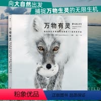 [正版]万物有灵 国际生物摄影年赛第53届获奖作品 自然摄影动物摄影生态摄影 100张获奖作品 艺术摄影书籍 后浪