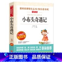 [三年级选读]小布头奇遇记 [正版]克雷洛夫寓言全集 三年级下册必读的课外阅读书籍班主任俄罗斯原着天地出版社快乐读书吧人