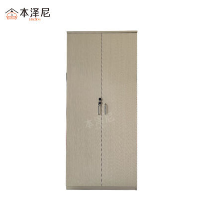 本泽尼 两门衣柜 HTDH-YG026 900*600*2000mm 组
