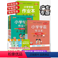 6本套 作业本+冲A卷[语数英 人教版] 四年级下 [正版]2024广东专版小学学霸作业本一二年级三四五六年级上下册人教