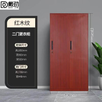 戴劲钢制仿木纹转印更衣柜员工宿舍铁皮衣柜鞋柜办公室储物柜二门B款
