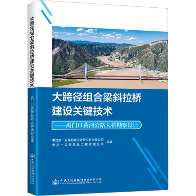 大跨径组合梁斜拉桥建设关键技术——禹门口黄河公路大桥勘察设计