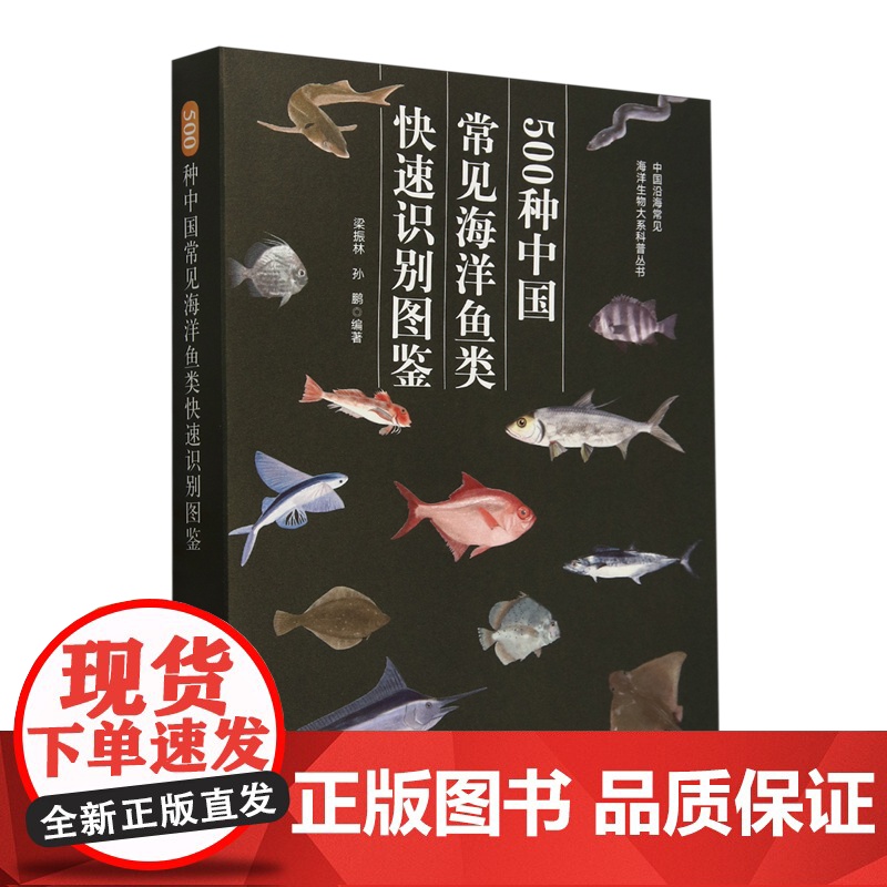 500种中国常见海洋鱼类快速识别图鉴9787109321489 /中国沿海常见海洋生物大系科普丛书 中国农业出
