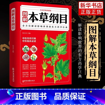 [正版]本草纲目 李时珍全彩图解白话文典藏版 中医基础理论中医书籍大全经典药方医药大全养生中草药全图鉴倪海厦中医书
