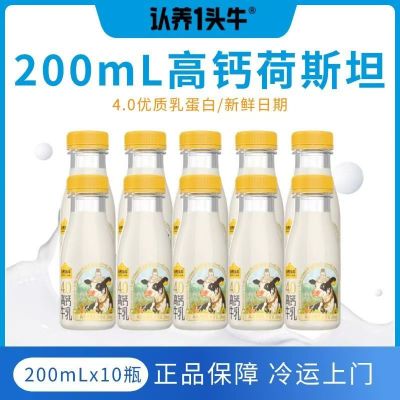 认养一头牛4.0蛋白高钙牛乳牛奶200ml*10瓶 低温冷藏 低温奶高钙牛乳