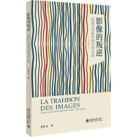 正版新书]影像的叛逆 法国当代哲学的艺术之思董树宝97873013408