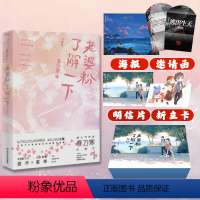 [正版]飞机盒+随书赠品老婆粉了解一下3 大结局 春刀寒 新增千字番外青春言情情感 老婆粉小花盛乔图书 书籍
