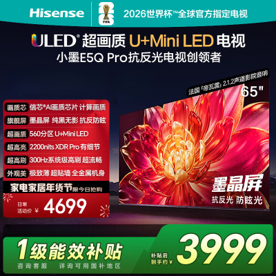 海信电视小墨 65E5Q Pro 65英寸 560分区U+MiniLED 信芯芯片 抗反光防眩光墨晶屏 300Hz