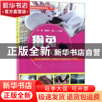 正版 獭兔高效养殖关键技术 肖峰,曹继东,姜八一主编 中国农业