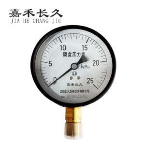 嘉禾长久 不锈钢膜盒压力表检测定制型 YE100BF 块