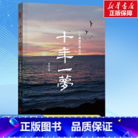 十年一梦 [正版]十年一梦 青泽 著 金融经管、励志 书店图书籍 京华出版社