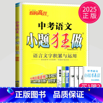 小题狂做 中考语文 [正版]恩波2024年江苏13大市中考试卷与标准模拟数学模拟测试卷练习册初三优化38套江苏省十三市中