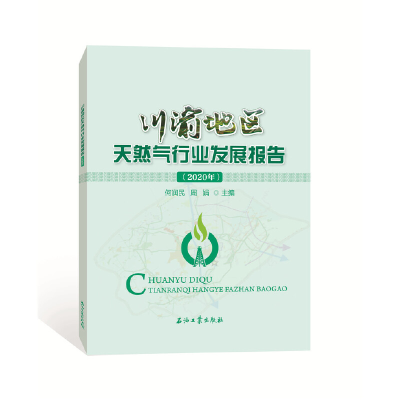 醉染图书川渝地区天然气行业发展报告(2020年)9787518342044