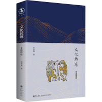音像文化转场 非遗散论岳永逸