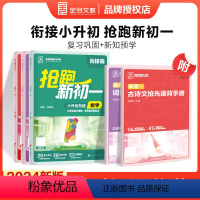 语数英3本 小学升初中 [正版]2024新版 小升初抢跑新初一语文数学英语人教版 五六年级小升初总复习必刷题上下册暑假衔