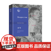 少年 陀思妥耶夫斯基 著 小说