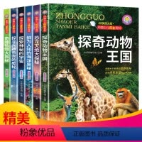 6册关于宇宙星球奥秘百科全书 [正版]6册关于宇宙星球奥秘百科全书动物王国大探秘一二年级非注音美的海洋植物科普书籍小学生