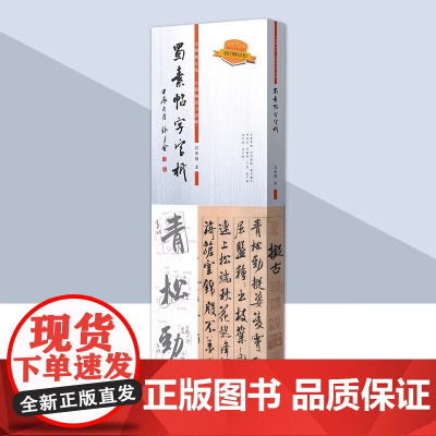 蜀素贴字字析 视频教程 书法临摹 字帖碑帖 毛笔软笔书法解析 吕英儒著 蜀素帖638字逐字视频讲解 天津人民美术出版新书