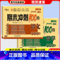 [单本]语文 人教版 二年级下 [正版]2023新版 期末冲刺100分二年级上册下册试卷语文数学全套人教版北师版 小学2