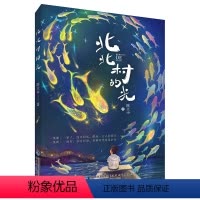 北北村的光 [正版]北北村的光 陈天中 著 2023桂冠童书奖百道好书榜励志成长小说 三四五六年级小学生课外阅读书籍时代