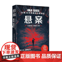 悬案 穆继文 著 小说