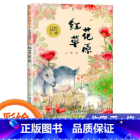 红花草原 [正版]糊涂猪/袋鼠蹦蹦/土怪黑塔/蜗牛一米/红花草原 彩绘注音版王一梅纯美童话一二年级小学生课外阅读书经典儿