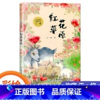 红花草原 [正版]糊涂猪/袋鼠蹦蹦/土怪黑塔/蜗牛一米/红花草原 彩绘注音版王一梅纯美童话一二年级小学生课外阅读书经典儿