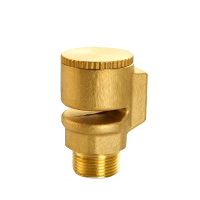 伟鹏双兴 黄铜真空破坏器 DN50(2寸) 台