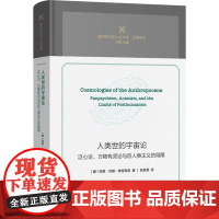 人类世的宇宙论 泛心论 万物有灵论与后人类主义的局限 阿恩·约翰·维特勒森 著 哲学